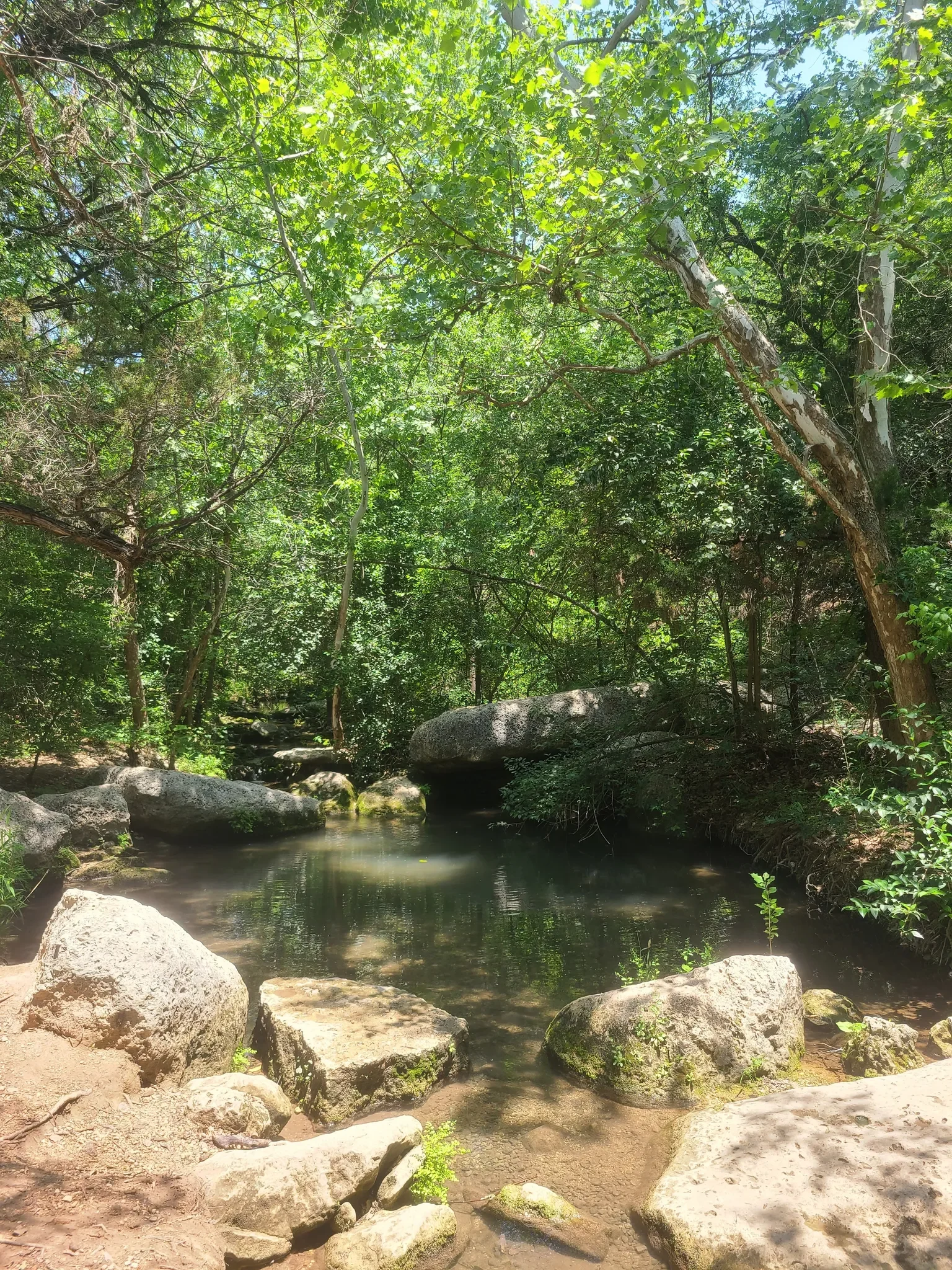 Beverly Sheffield Loop