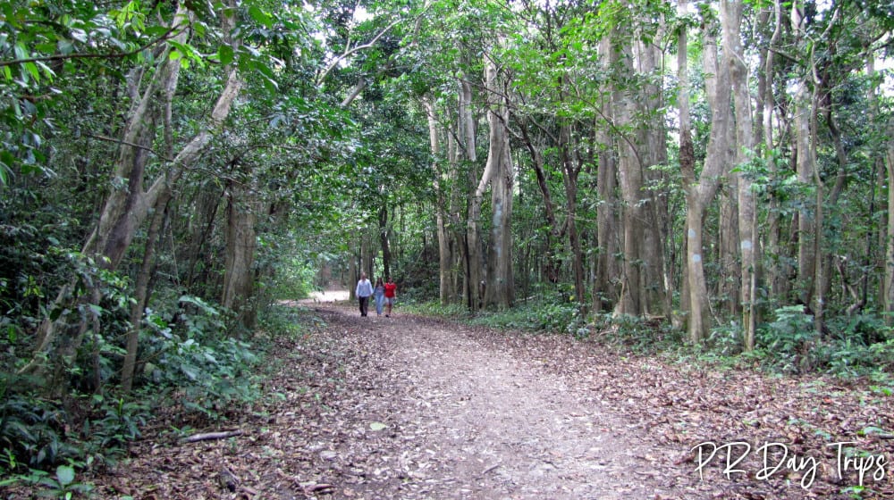 Julio Enrique Monagas Park