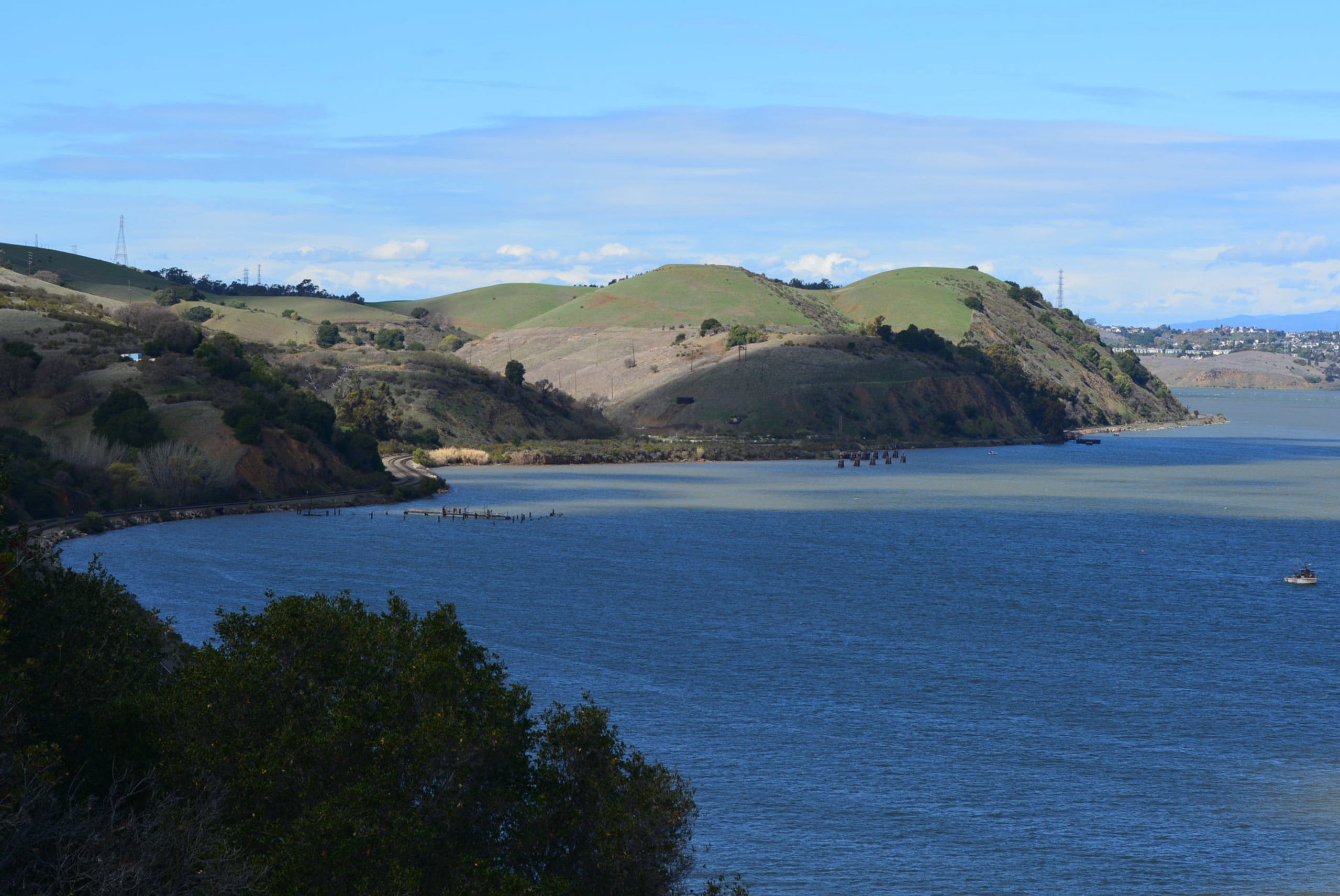 Carquinez Shoreline
