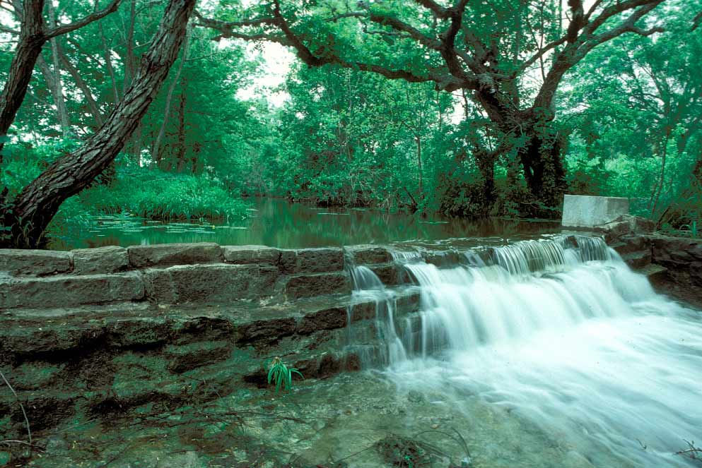 Lockhart State Park