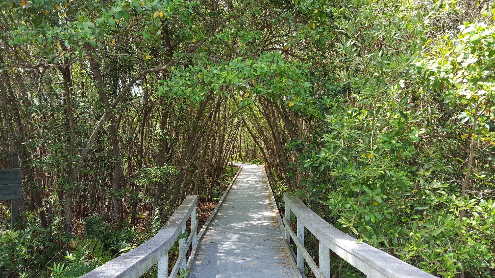 Four Mile Cove Ecological Preserve