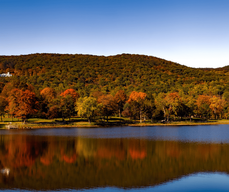 Mason Neck State Park