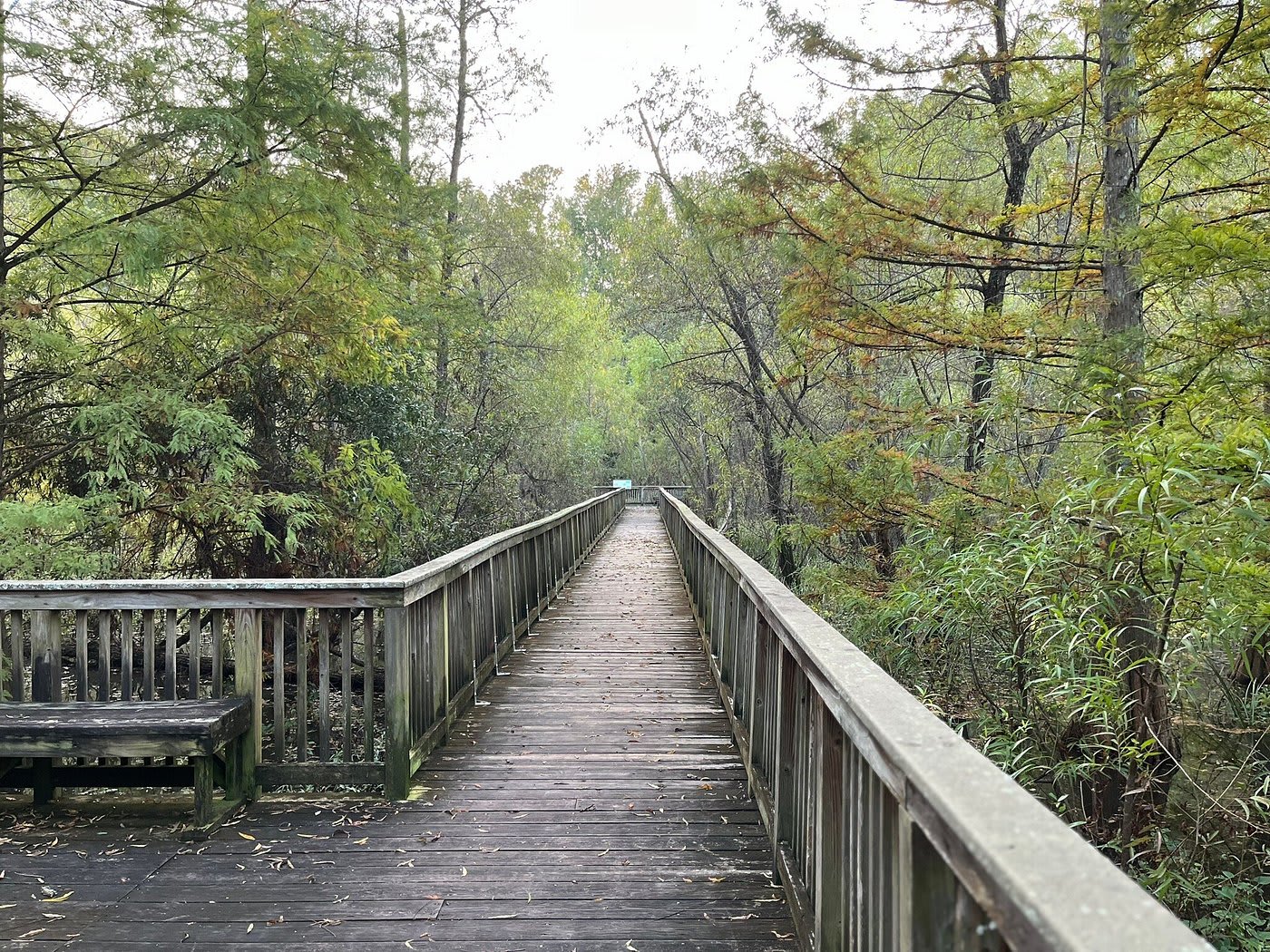 Reed Creek Nature Park