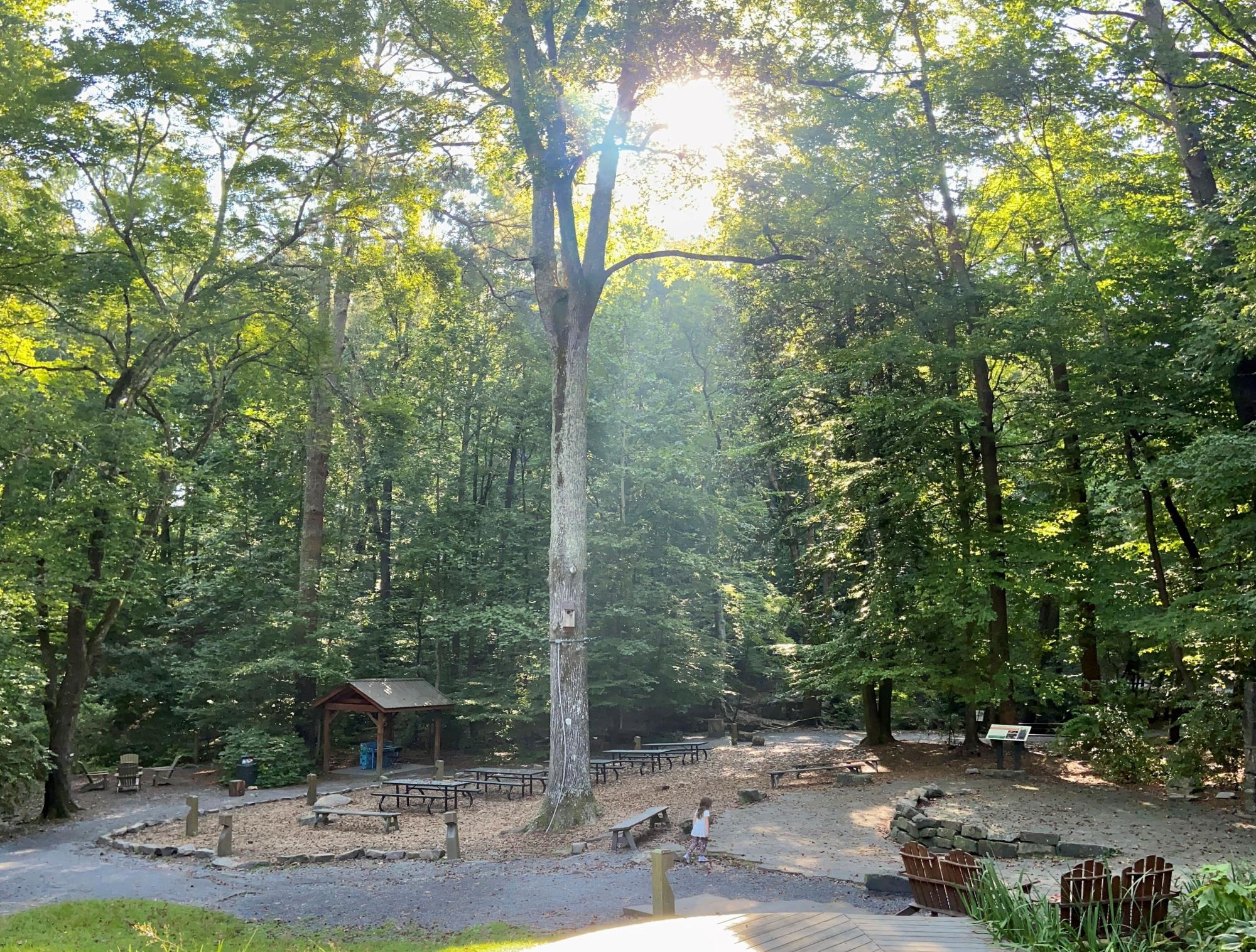 Dunwoody Nature Center