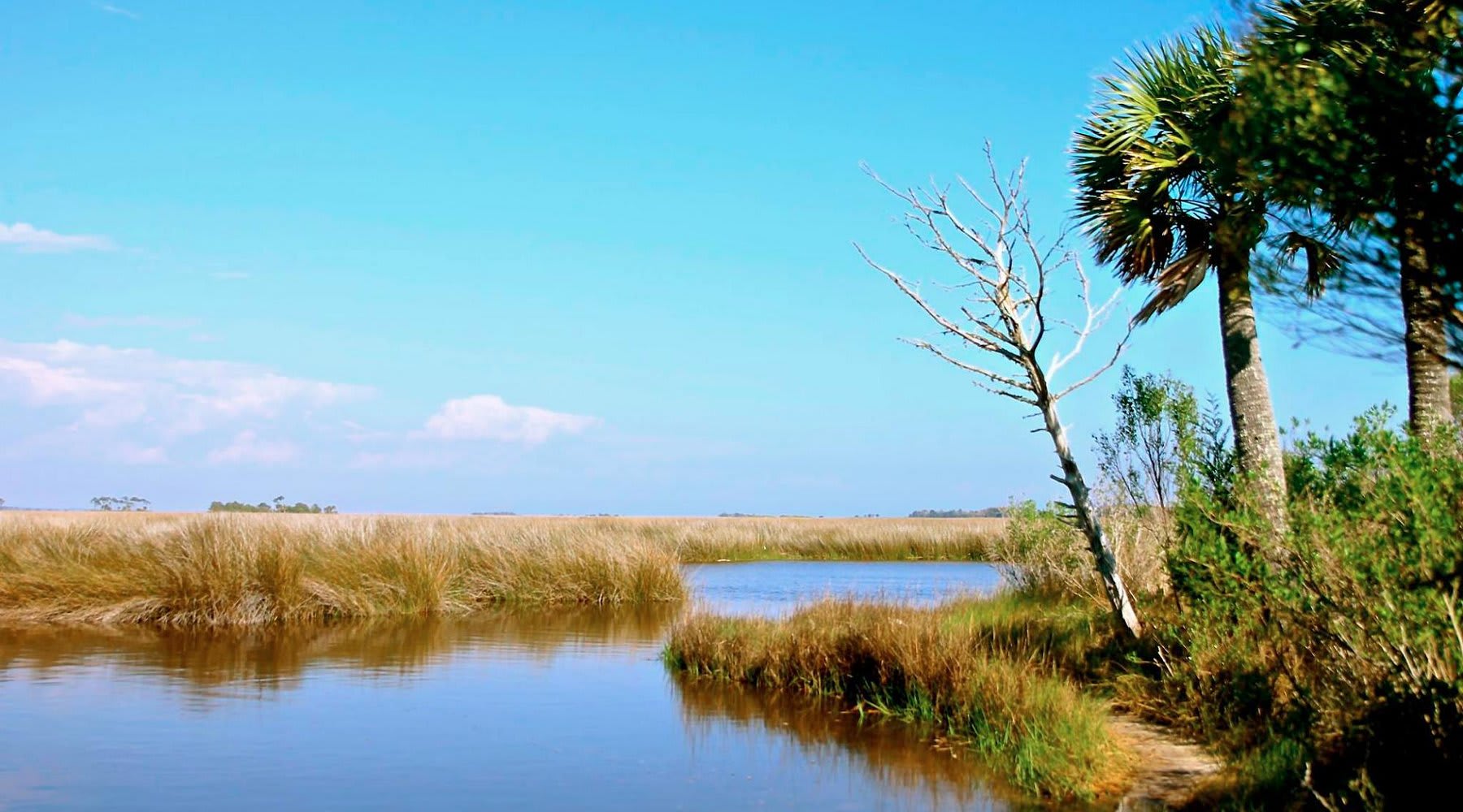 St. Marks National Wildlife Refuge
