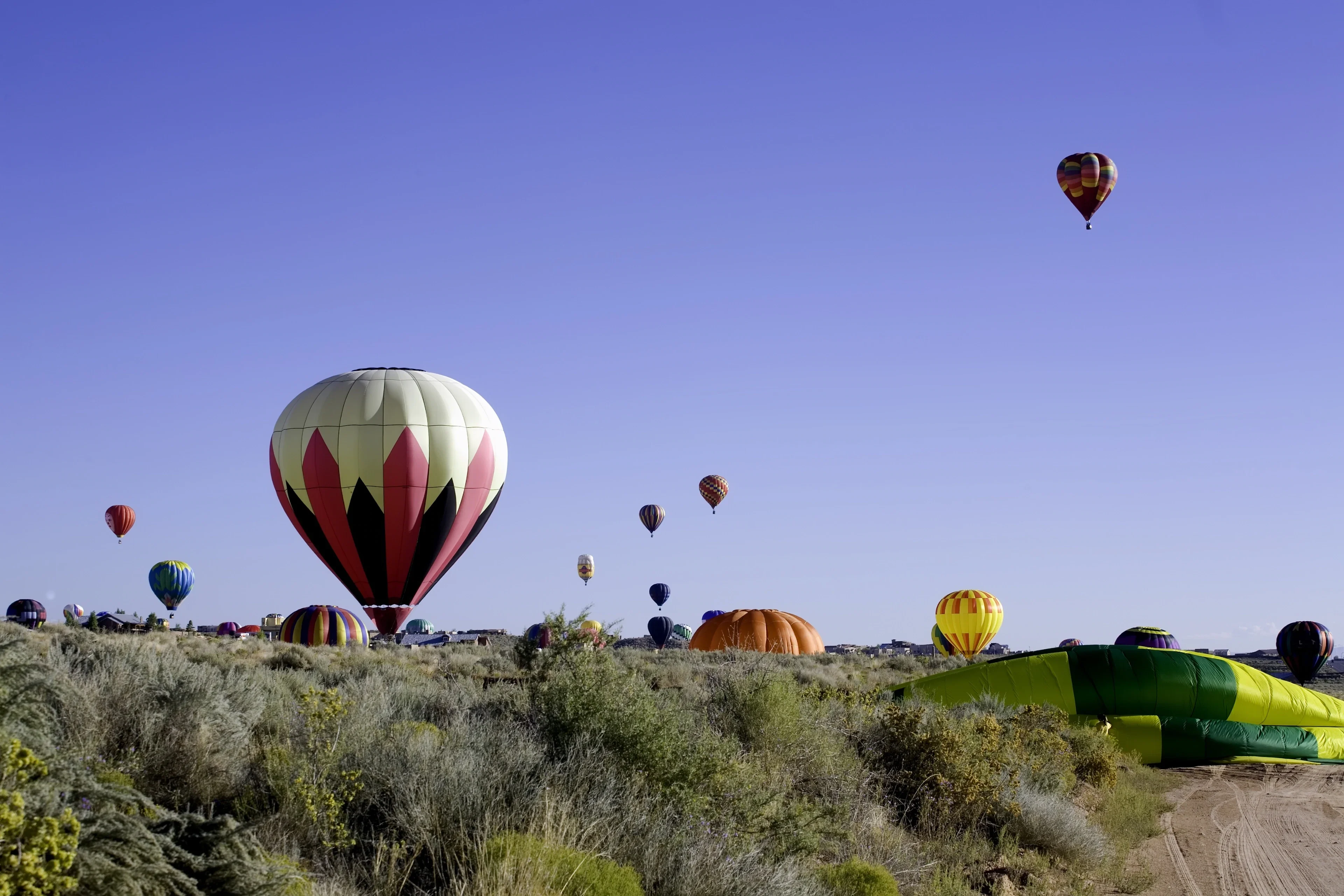 Balloon Fiesta
