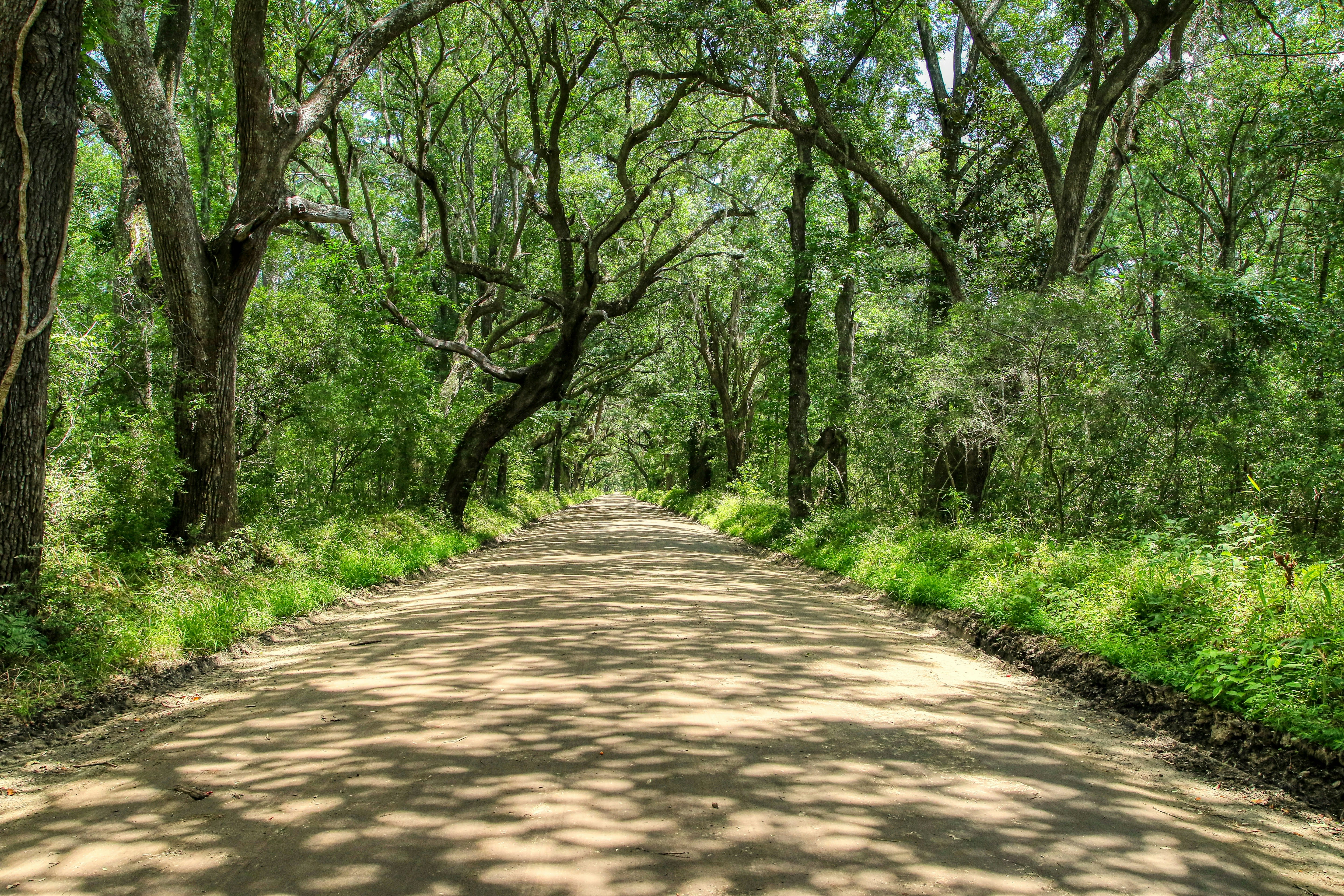 Botany Bay on Edisto Island