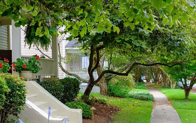 Boylan Heights Neighborhood