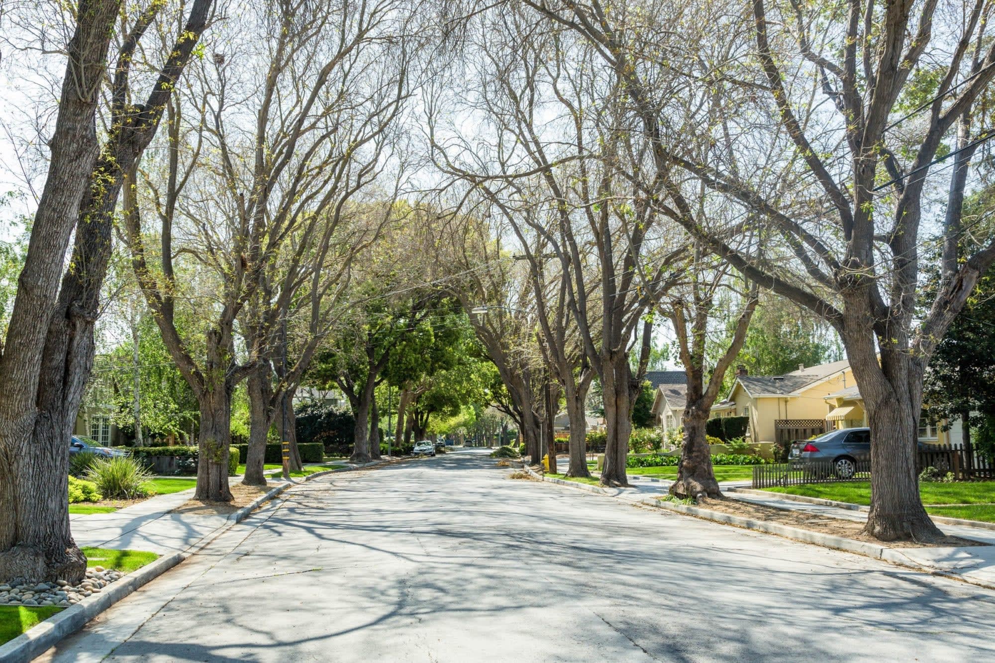 Willow Glen Neighborhood