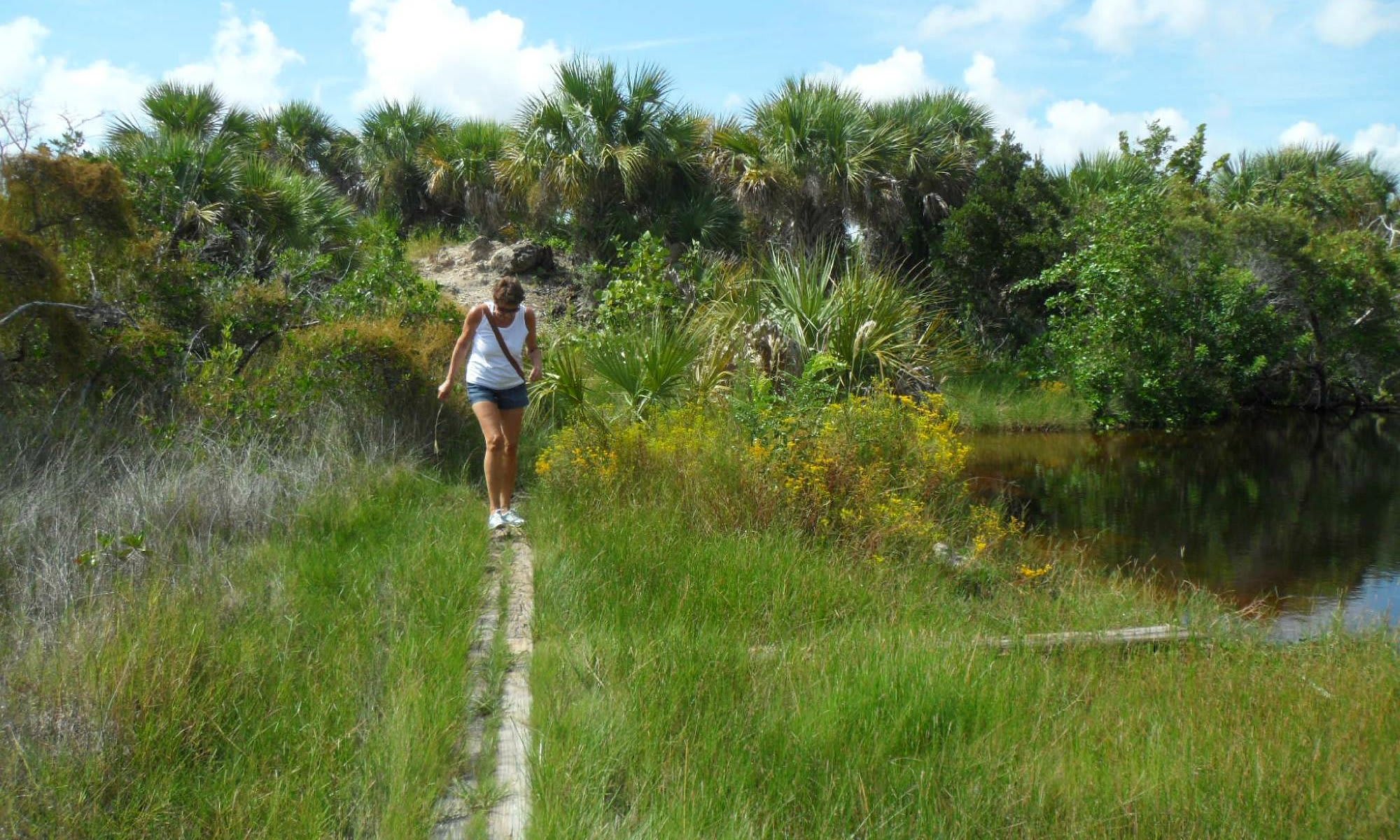 Rotary Park Environmental Center