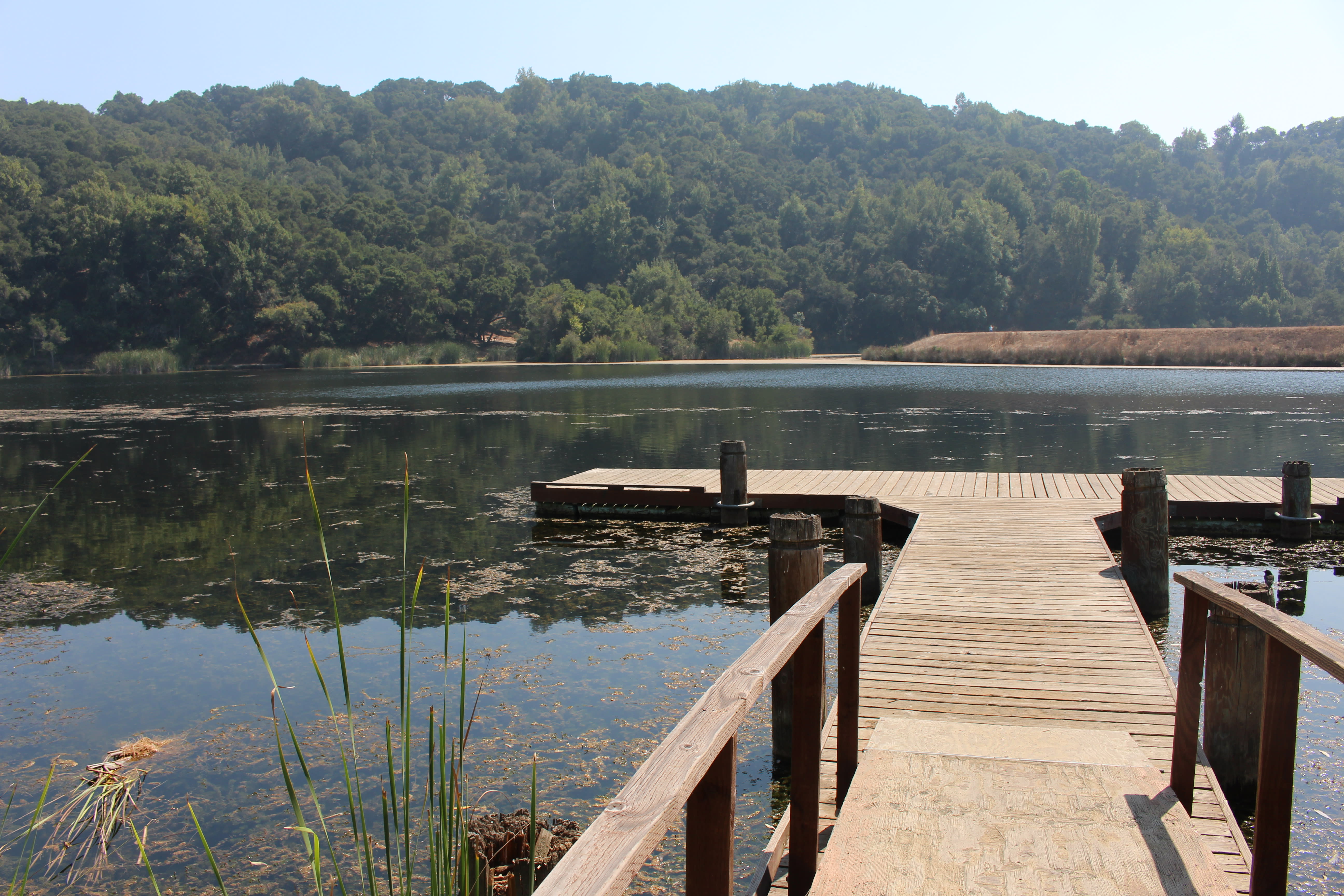 Foothills Park Dock