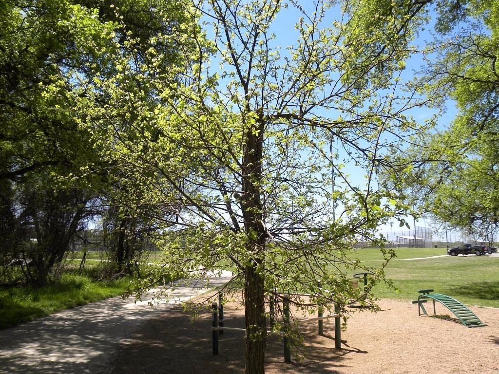 Brushy Creek Sports Park