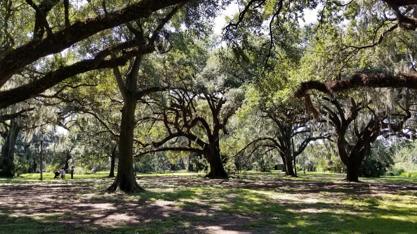 New Orleans City Park