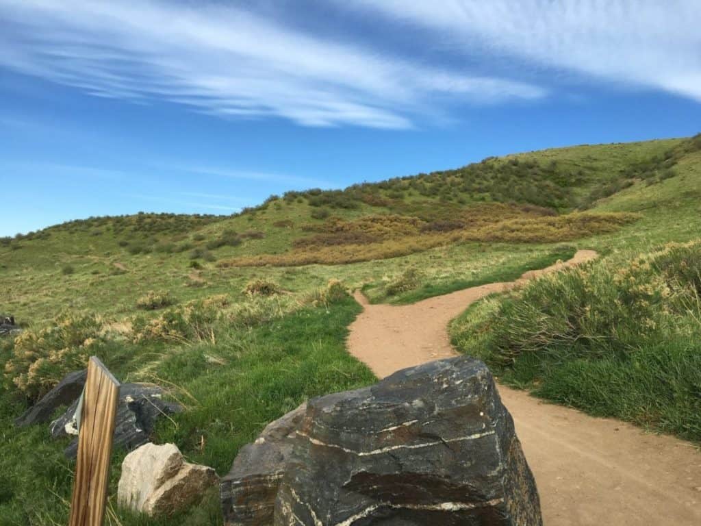 William Frederick Hayden Park