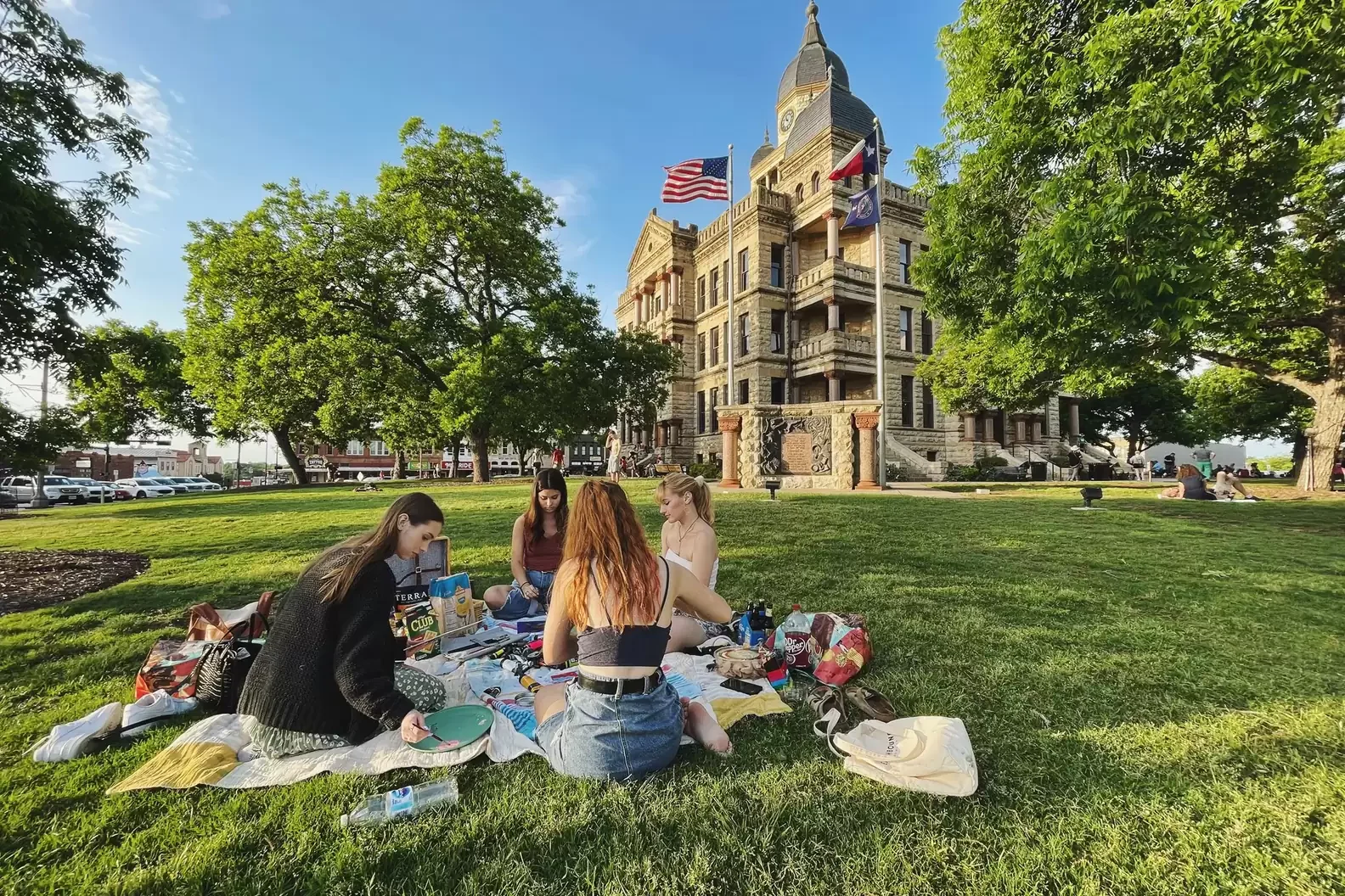 Denton Picnic