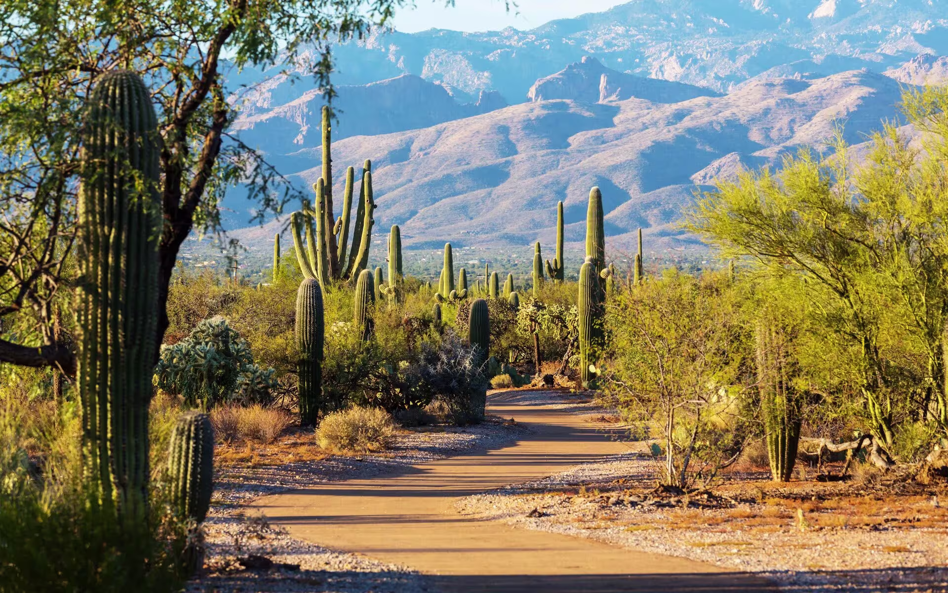 Glendale Countryside