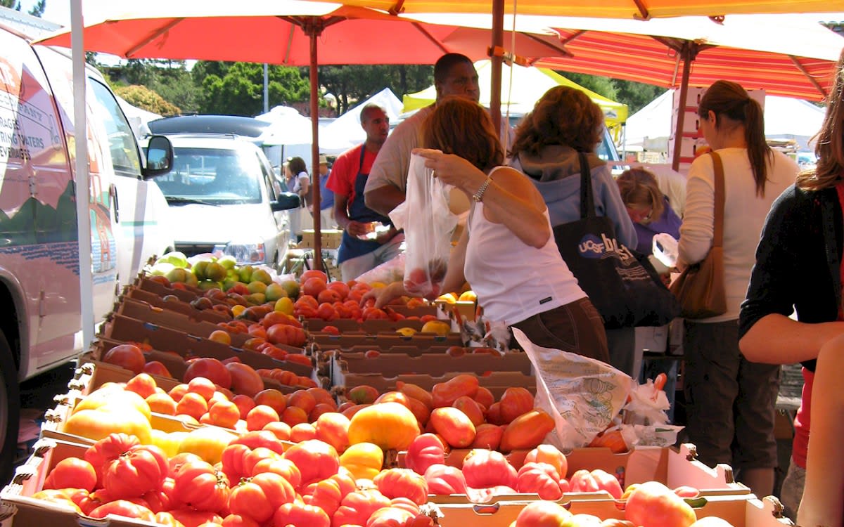 Marin Farmer's Market, Larkspur Landing