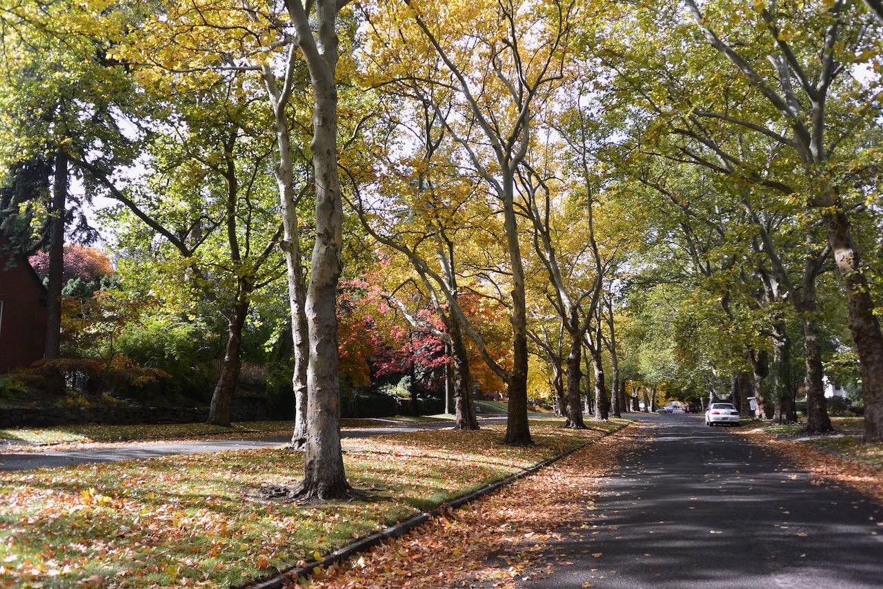 Manito-Cannon Hill Neighborhood