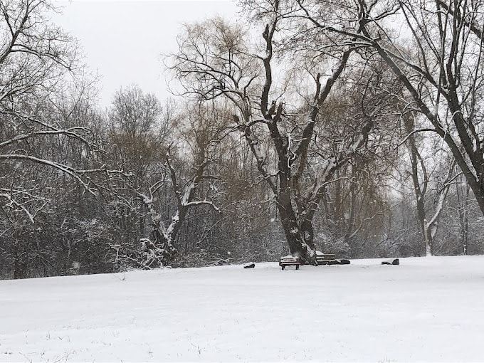 Atherton Settlement Park