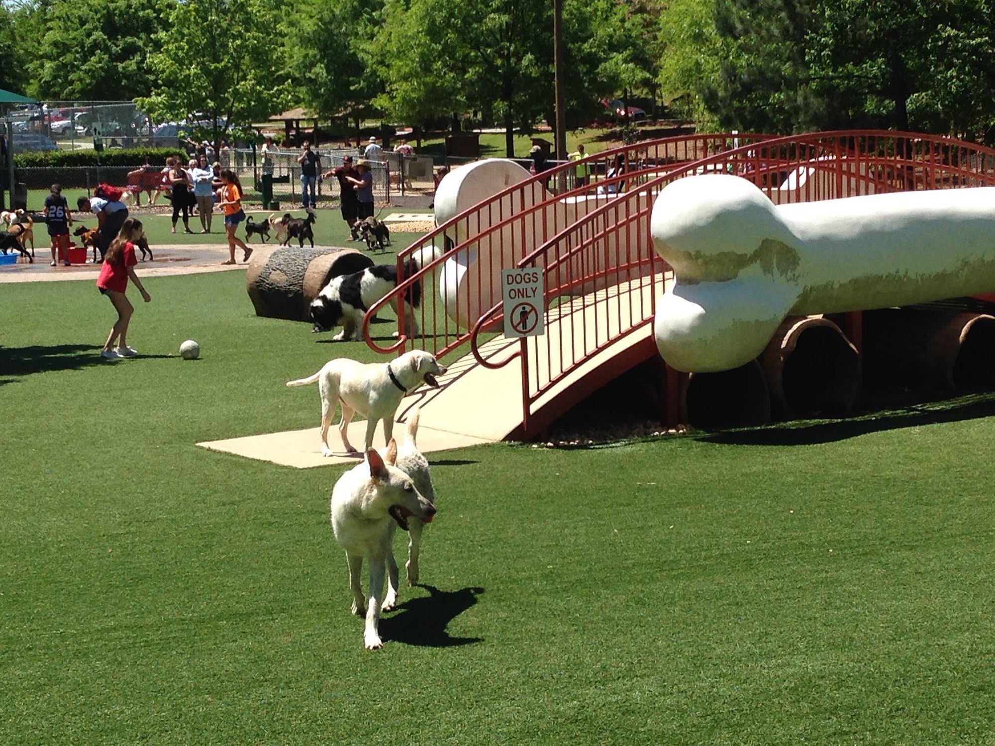 Newtown Park Dog Park