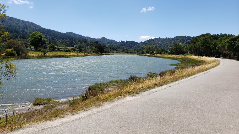 Hal Brown Park Pond, Kentfield