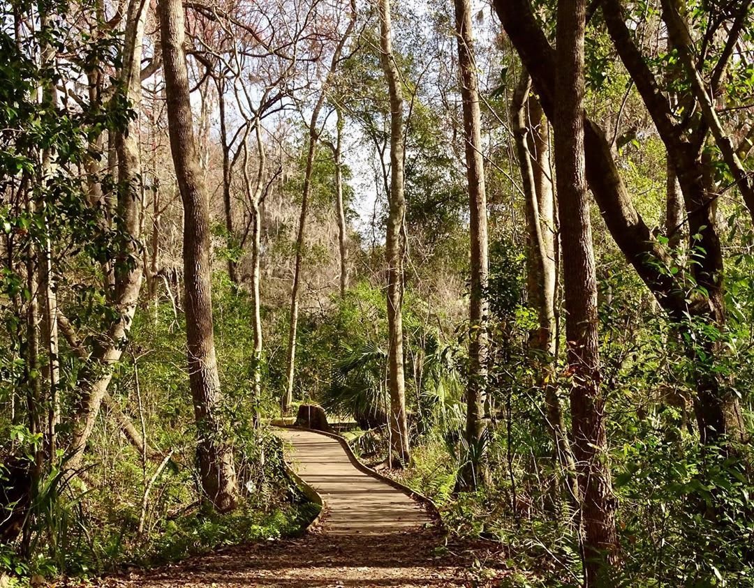 Jacksonville Arboretum