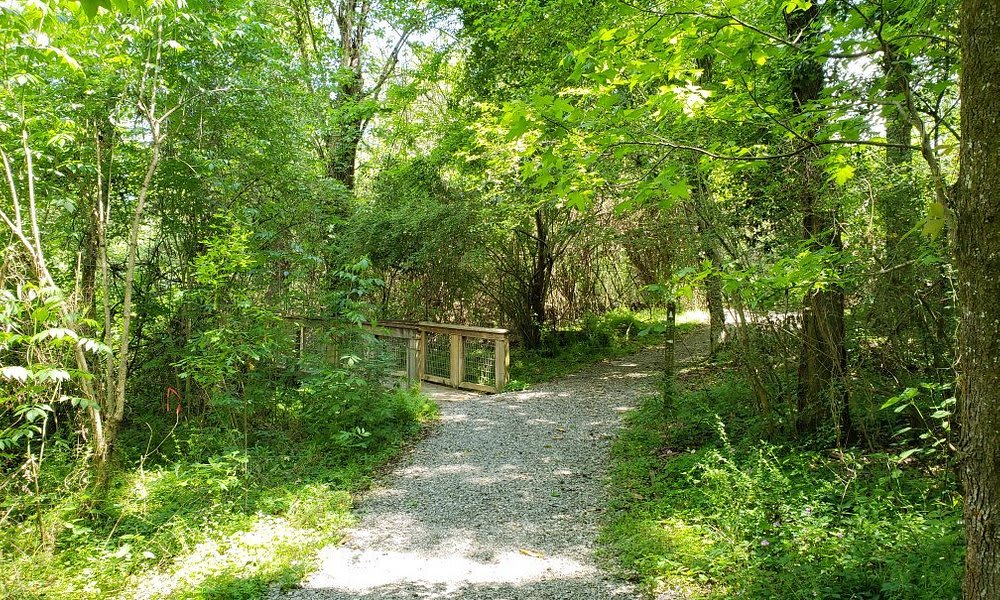 Bluebonnet Swamp Nature Center
