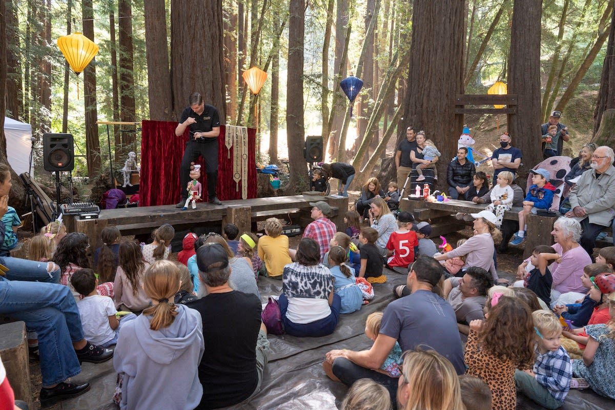 Mill Valley Fall Arts Festival