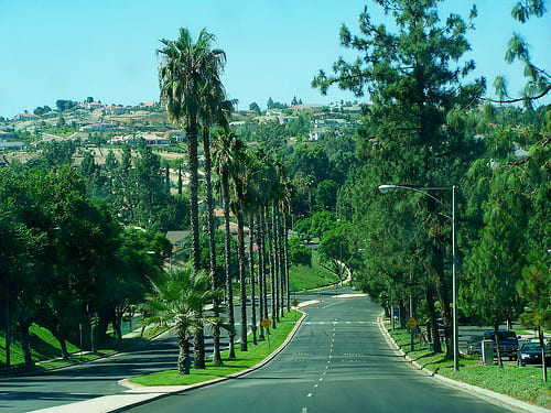 Canyon Crest Neighborhood