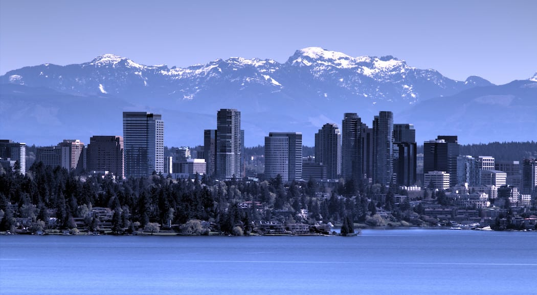 Bellevue Skyline