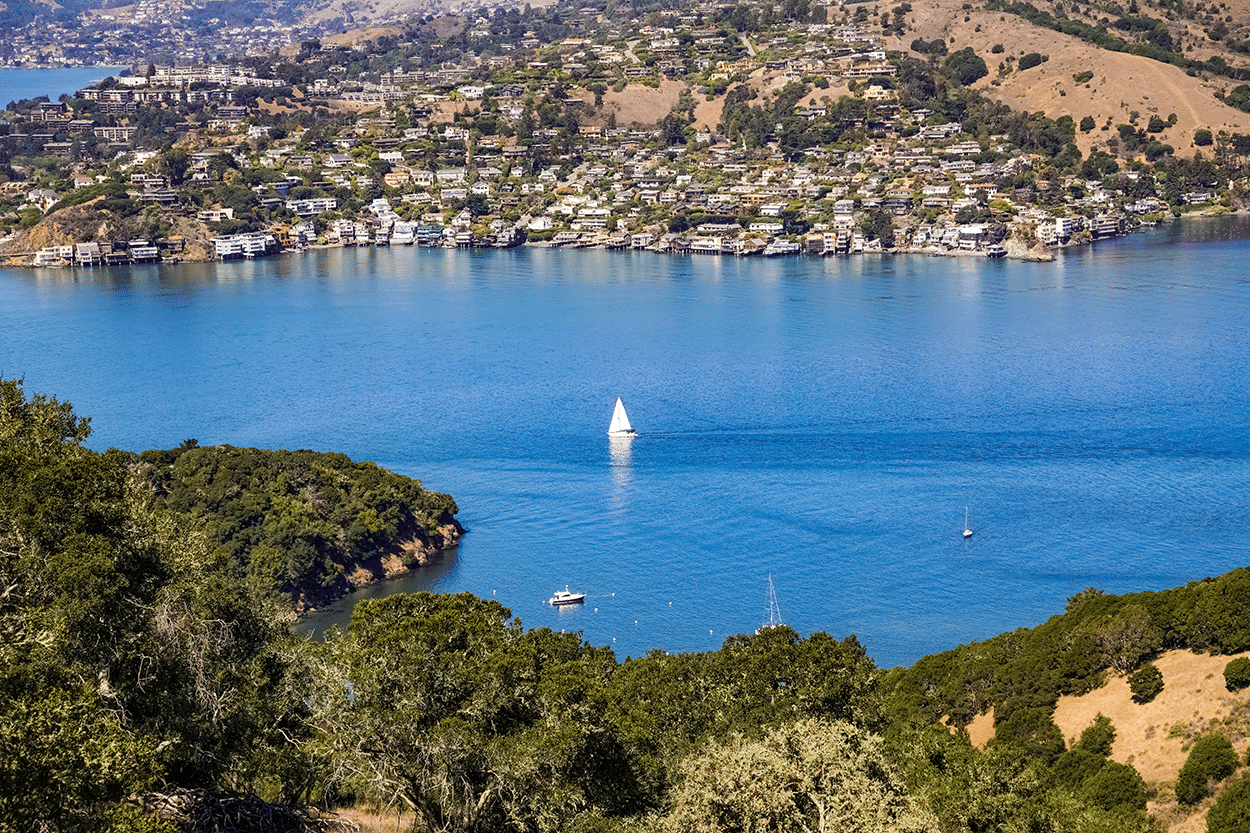 Belvedere Cover, Tiburon View