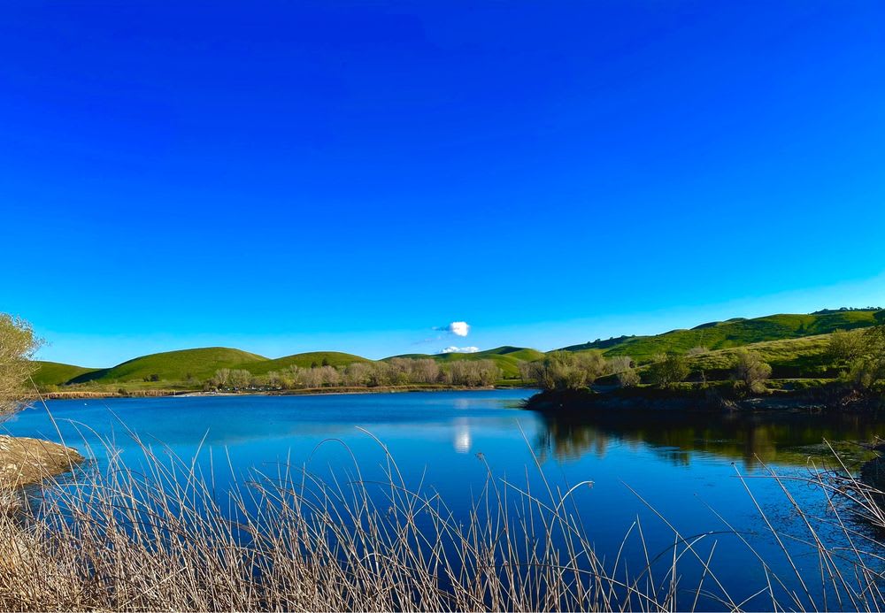 Contra Loma Regional Park & Swim Lagoon