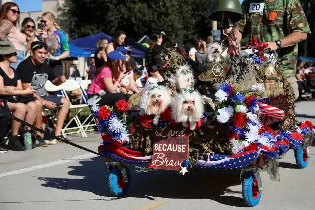 Howl-O-Ween Pup Parade 