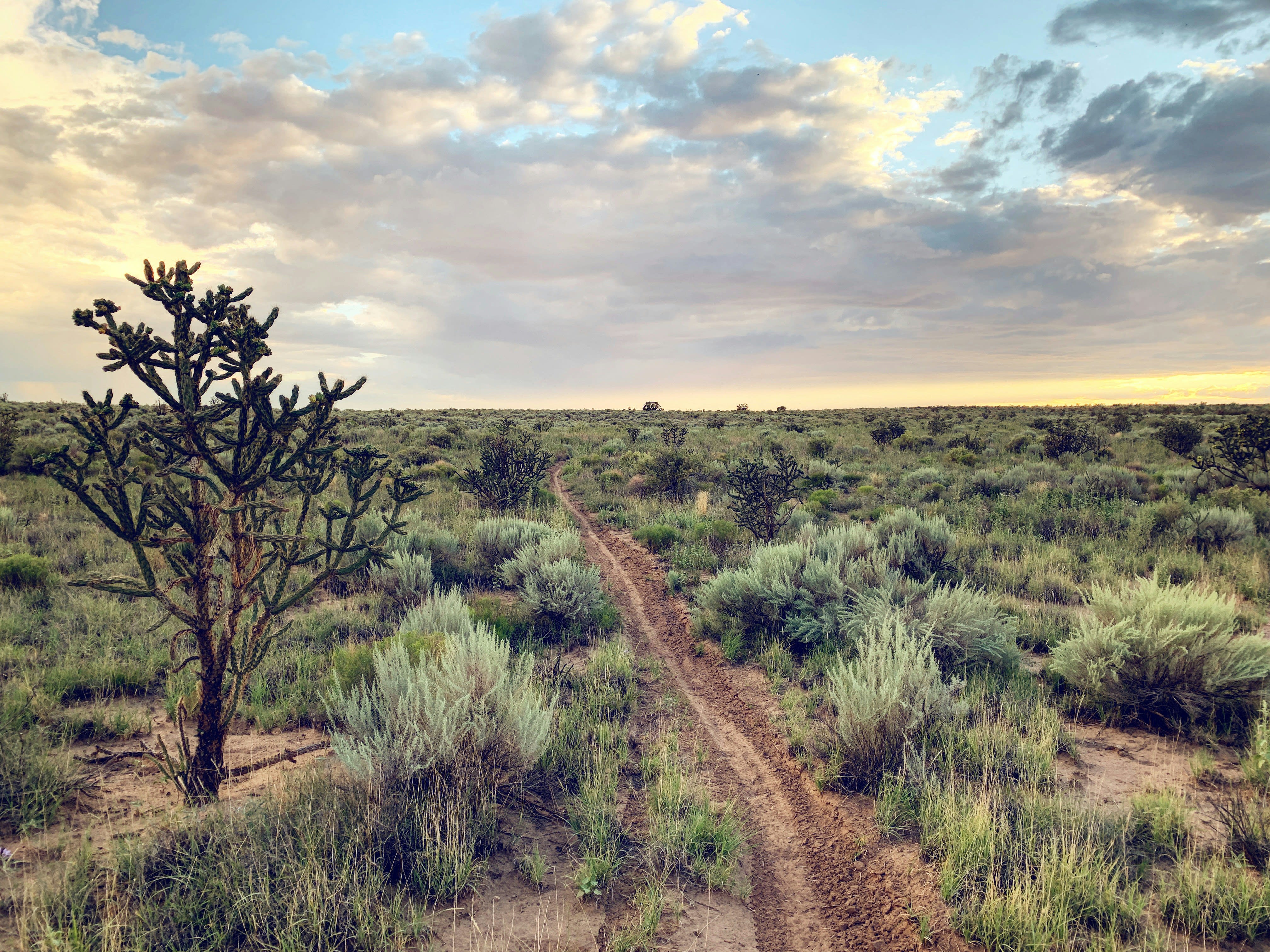 Singletrack, Albuquerque