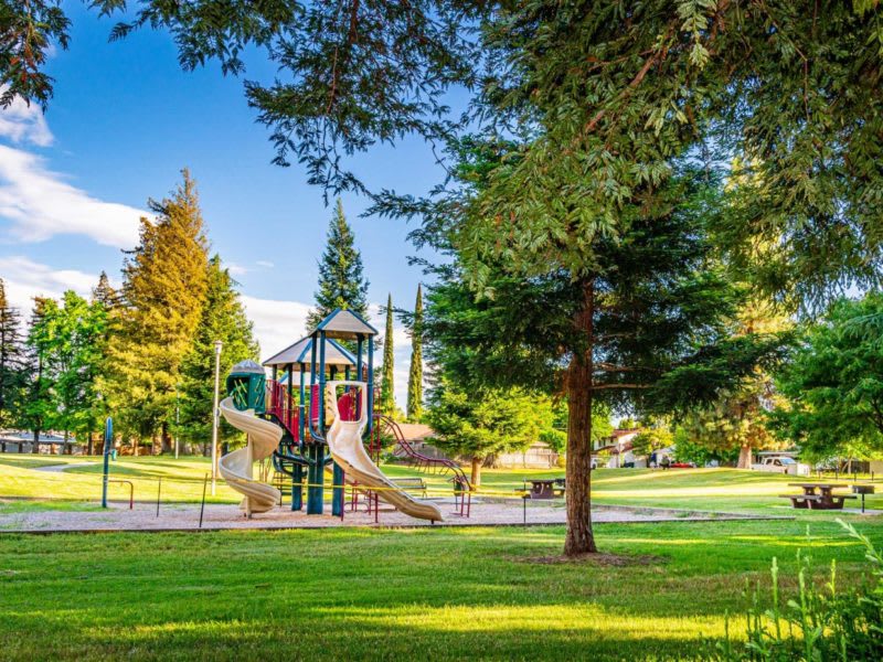 Taylor Park 