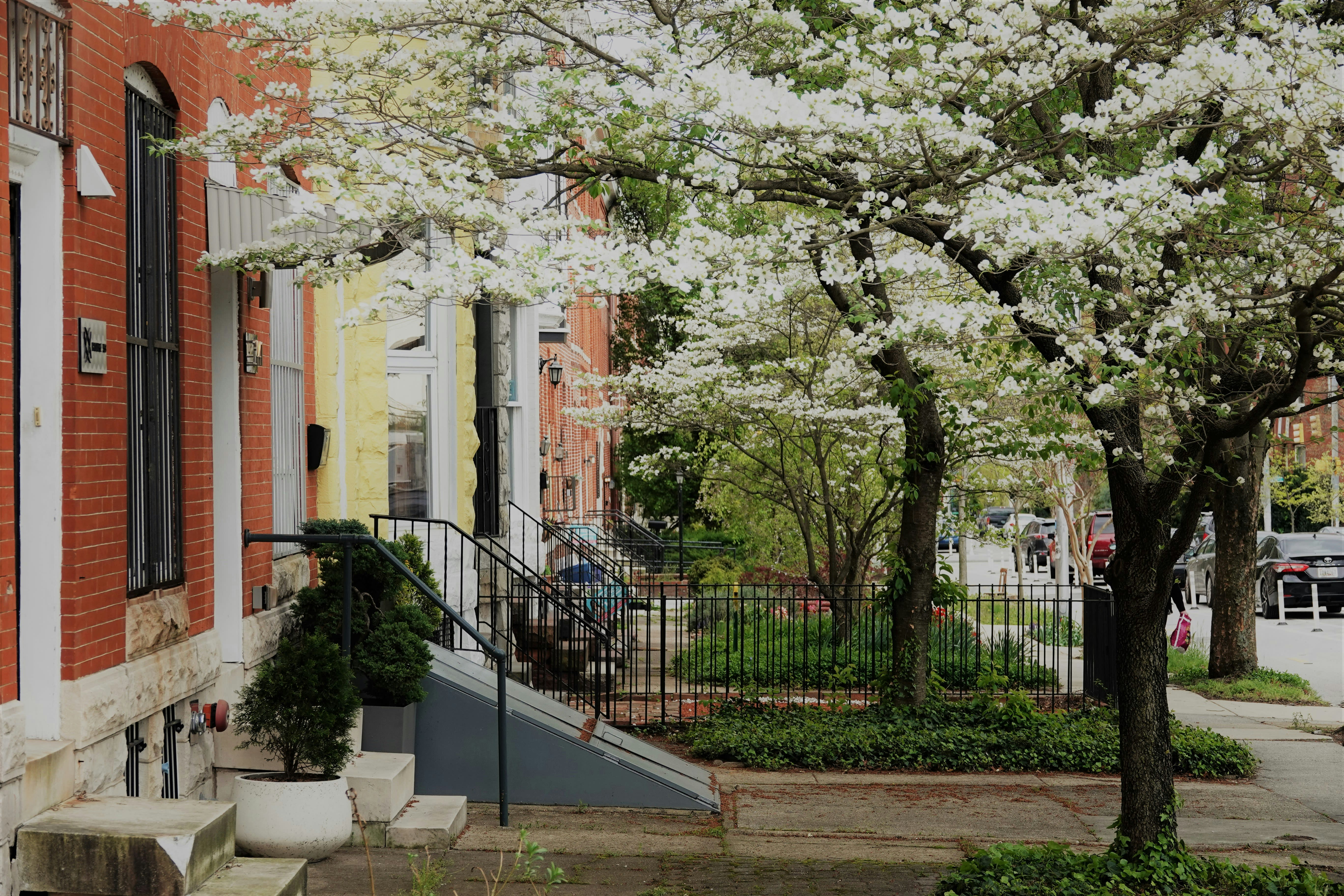 Baltimore Row Houses