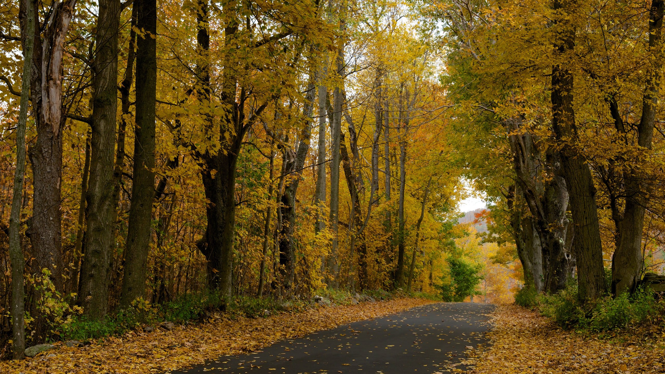 Central Massachusetts