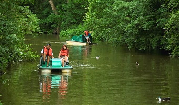 Creekside Paddleboard Rentals
