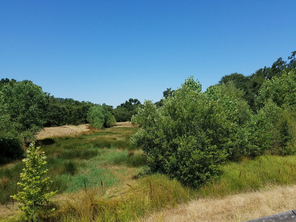 Del Paso Regional Park