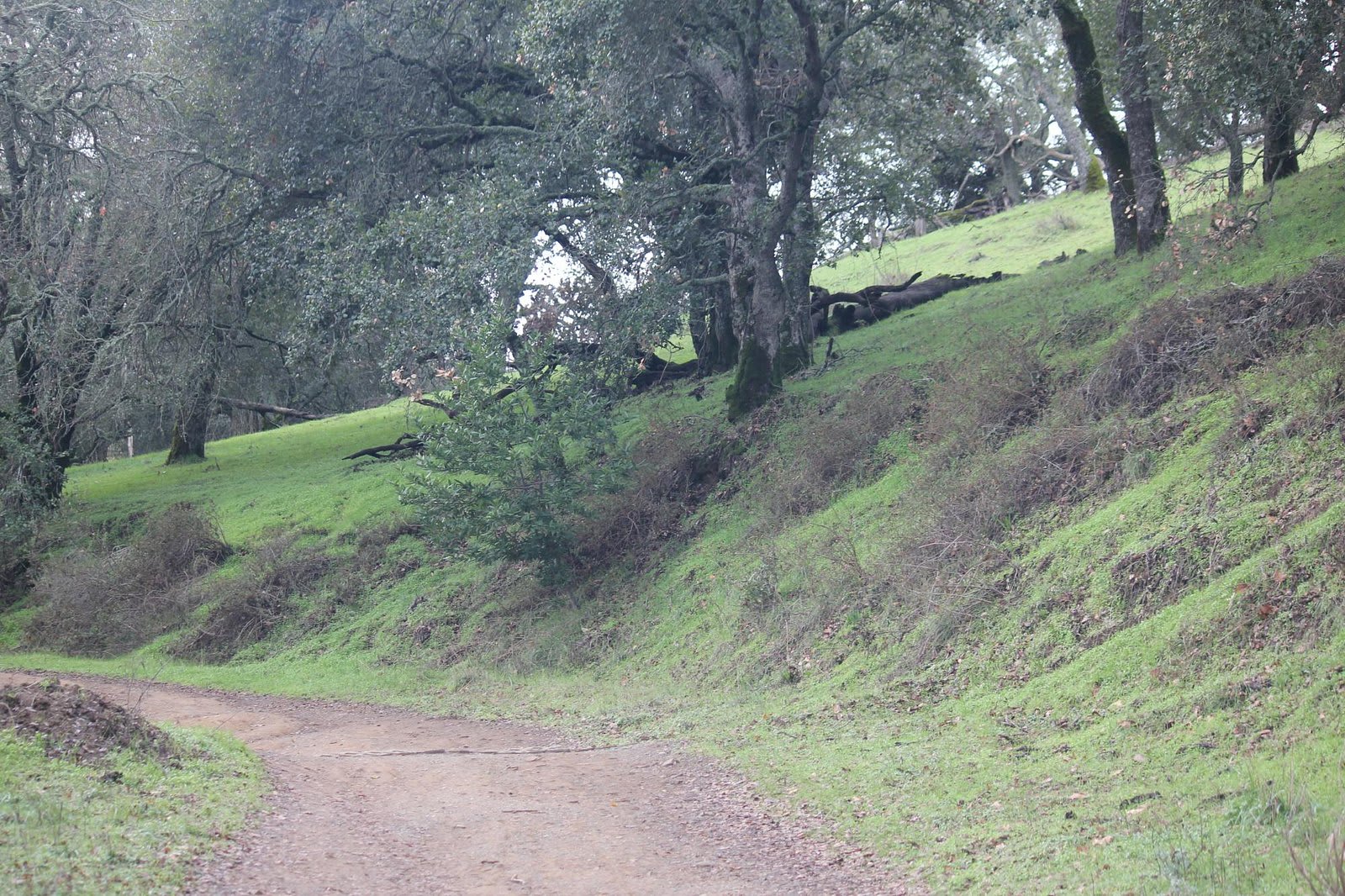 Augustin Bernal Park