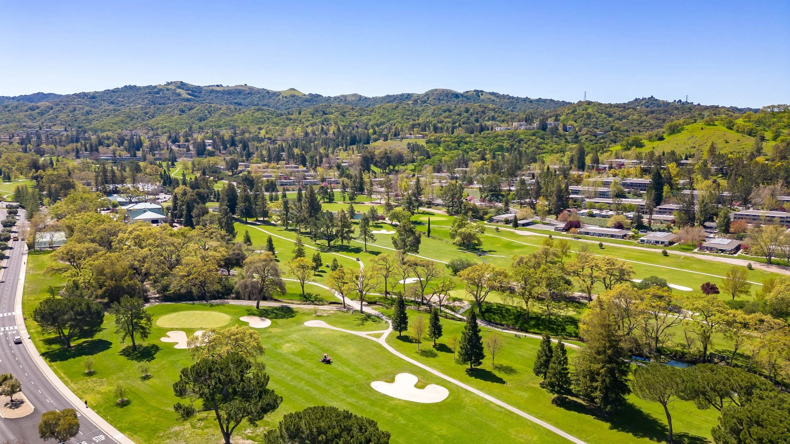 Rossmoor Neighborhood
