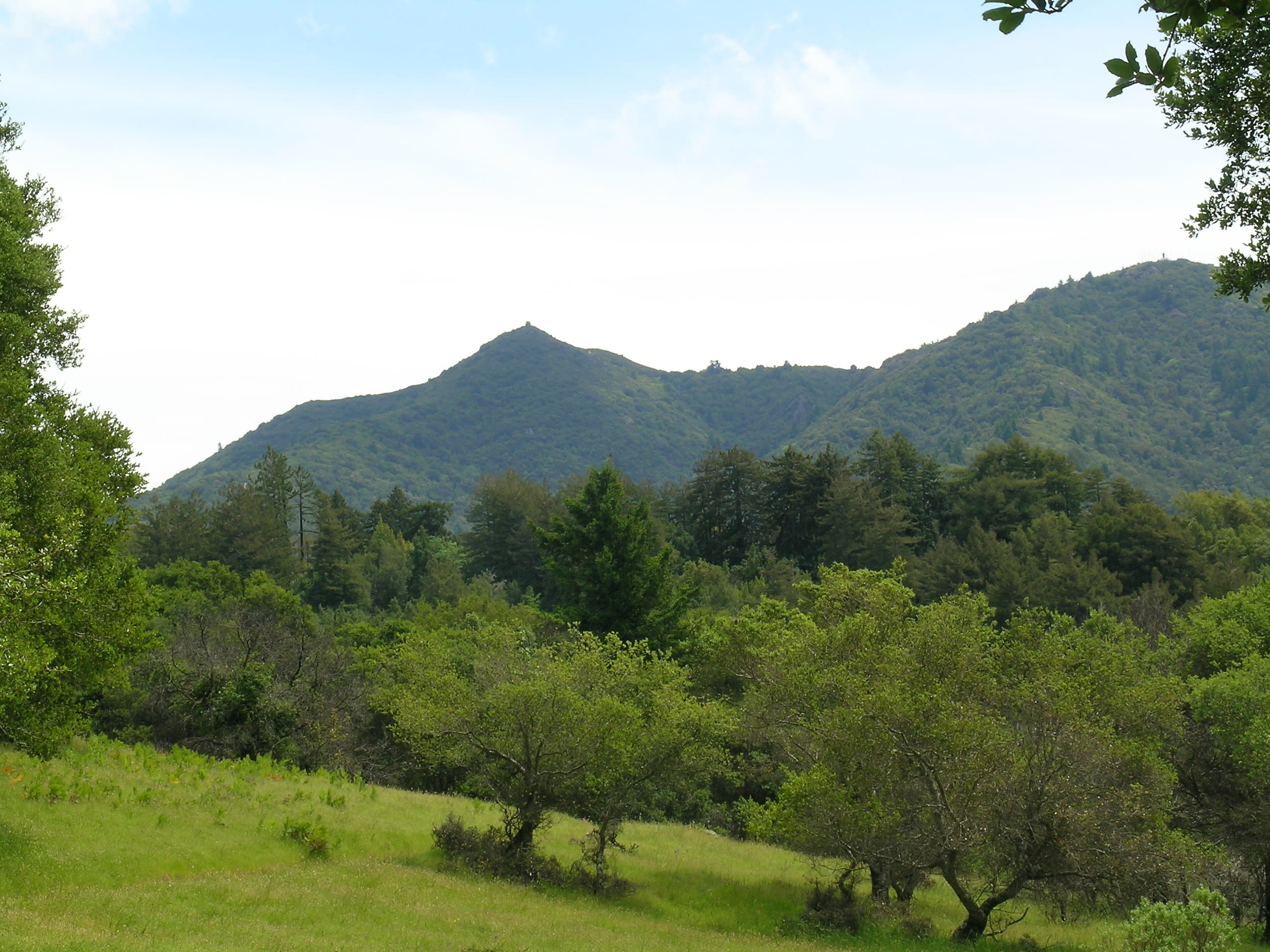  Mt. Tamalpais Watershed