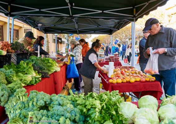 Monterey Farmer's Market