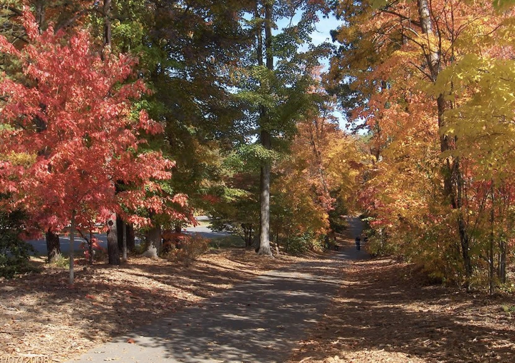 Tega Cay Walking Trail