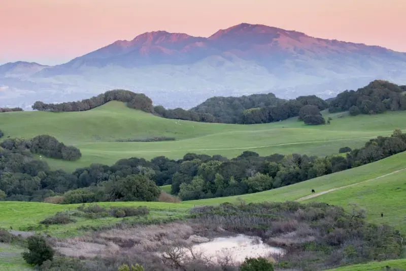 Mount Diablo State Park