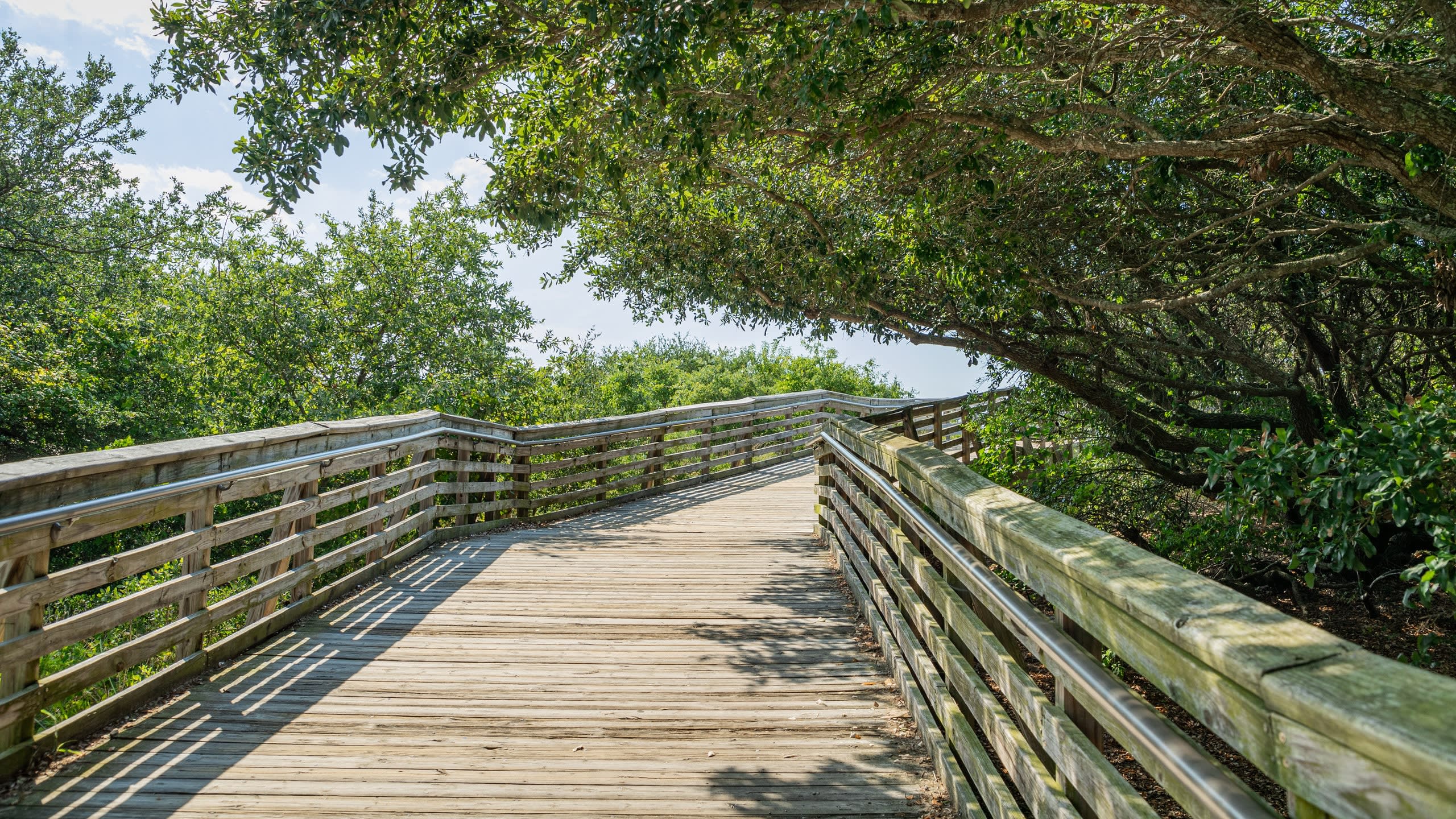 First Landing State Park