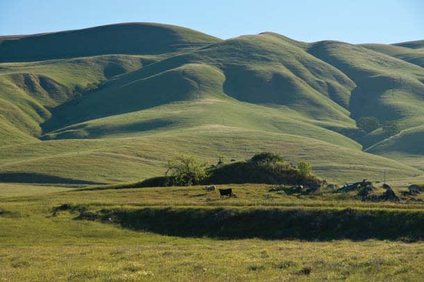 Undeveloped Naval Station Land