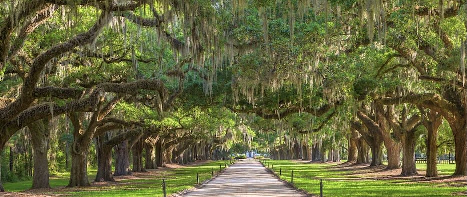Charleston Metro: Johns Island, Kiawah & Seabrook