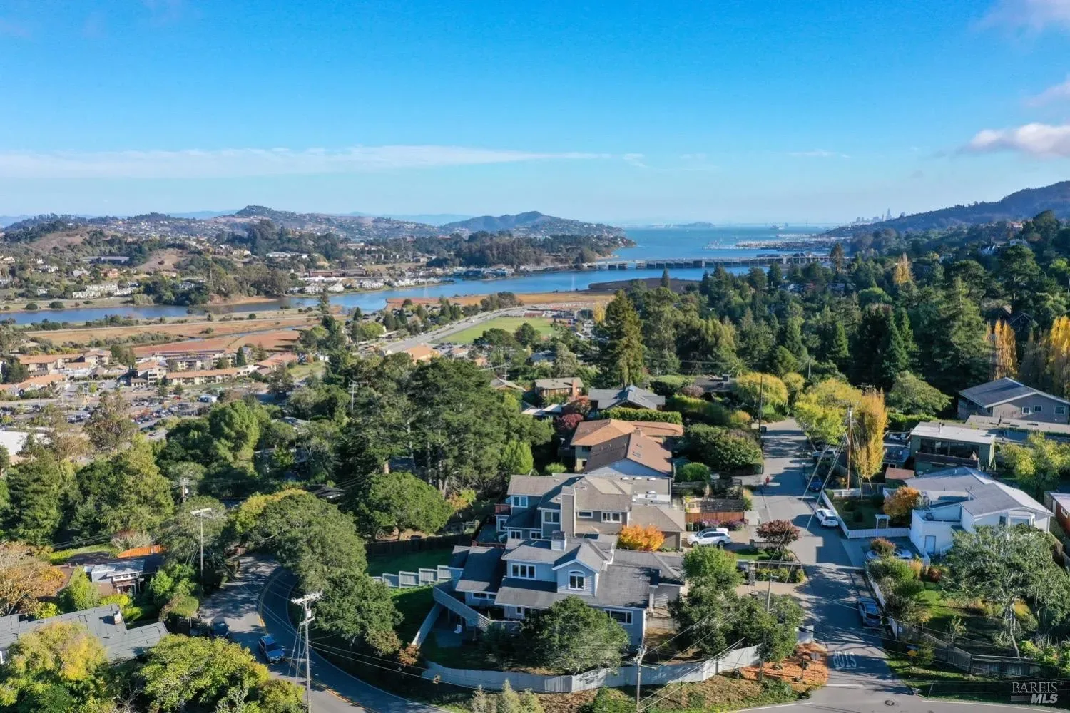 Mill Valley Aerial