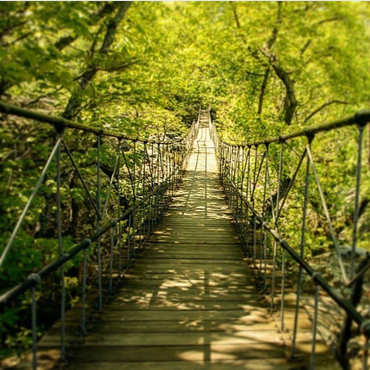 Enchanted Flagstone Trail Lookout Mountain